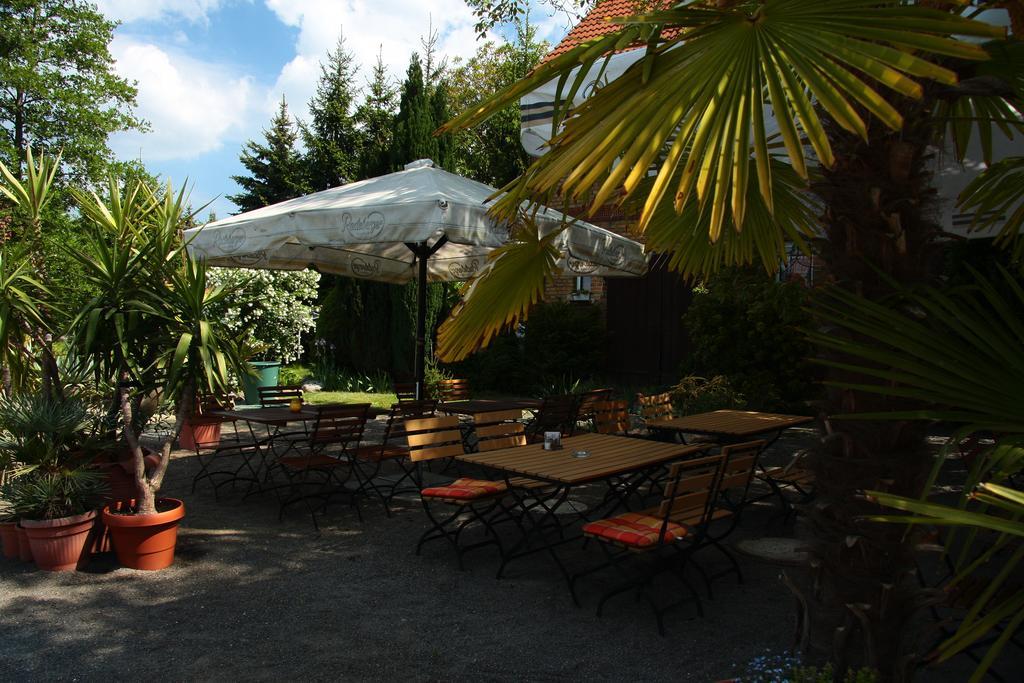 Werners Landgasthaus Lieskau Εξωτερικό φωτογραφία